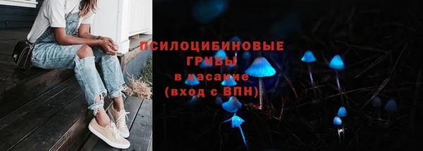 прущая мука Алзамай