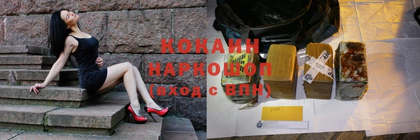 соль ск Алексин