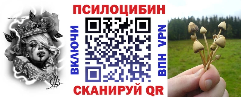 Псилоцибиновые грибы Psilocybine cubensis  Североуральск 